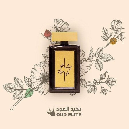 MASHAER GOLD مشاعر جولد نخبة العود