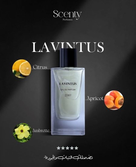 LAVINTUS SCENTY