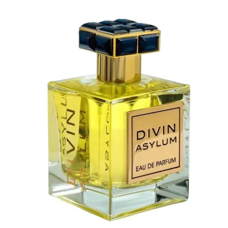 Divin Asylum