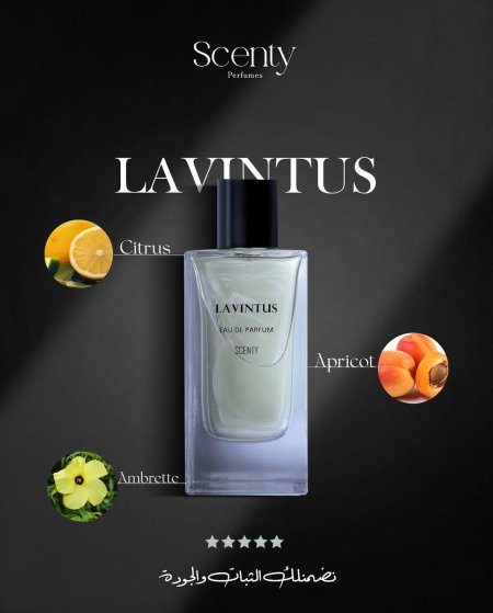 LAVINTUS SCENTY
