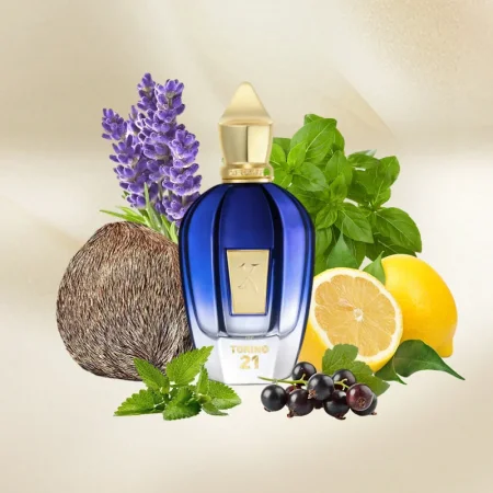 TORINO 21 XERJOFF 50ML